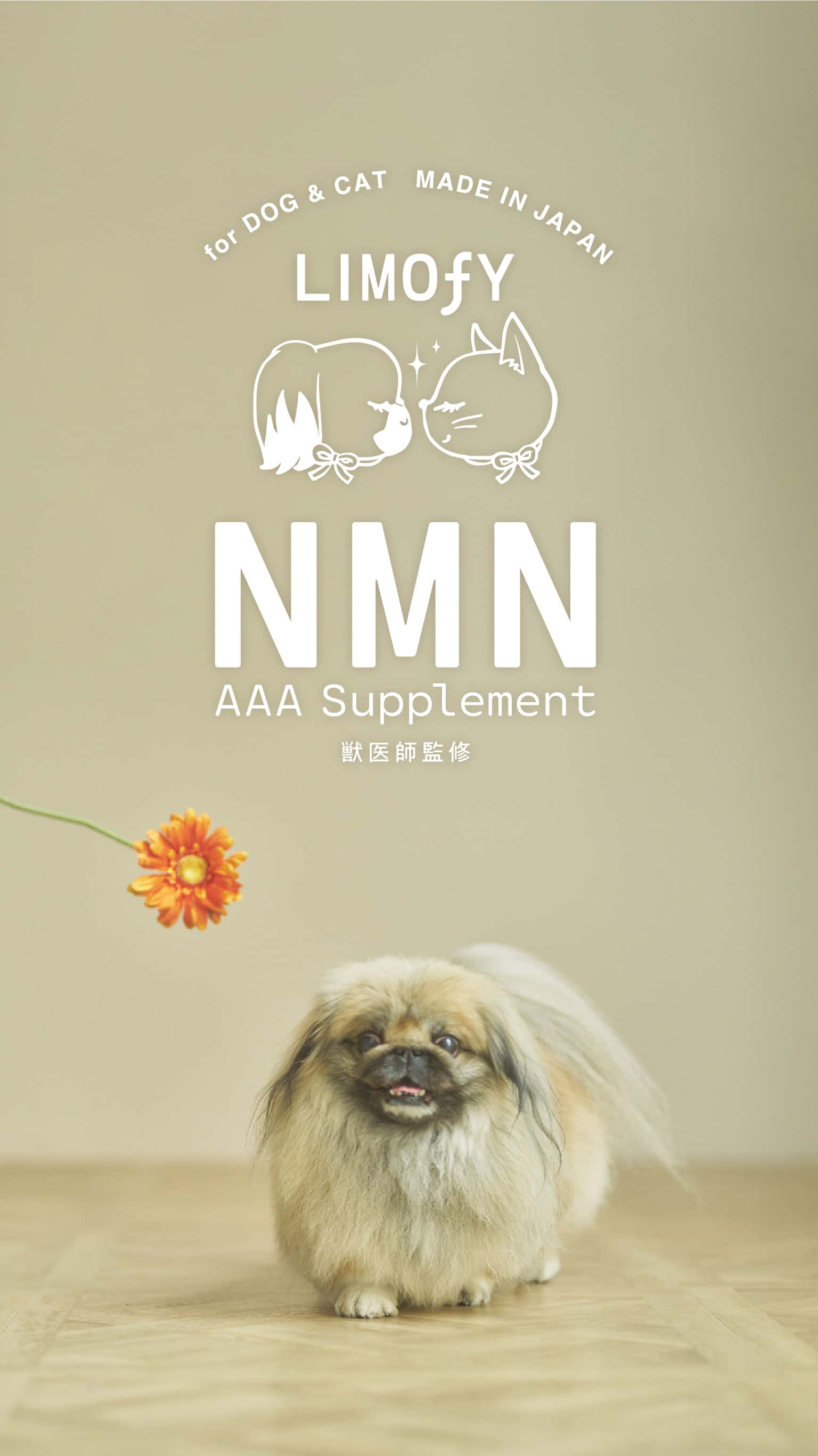 LIMOFY NMN AAA (Animal Anti-Aging) Supplement 愛犬・愛猫用（ペット用 ）のハイクオリティなアンチエイジングサプリメント