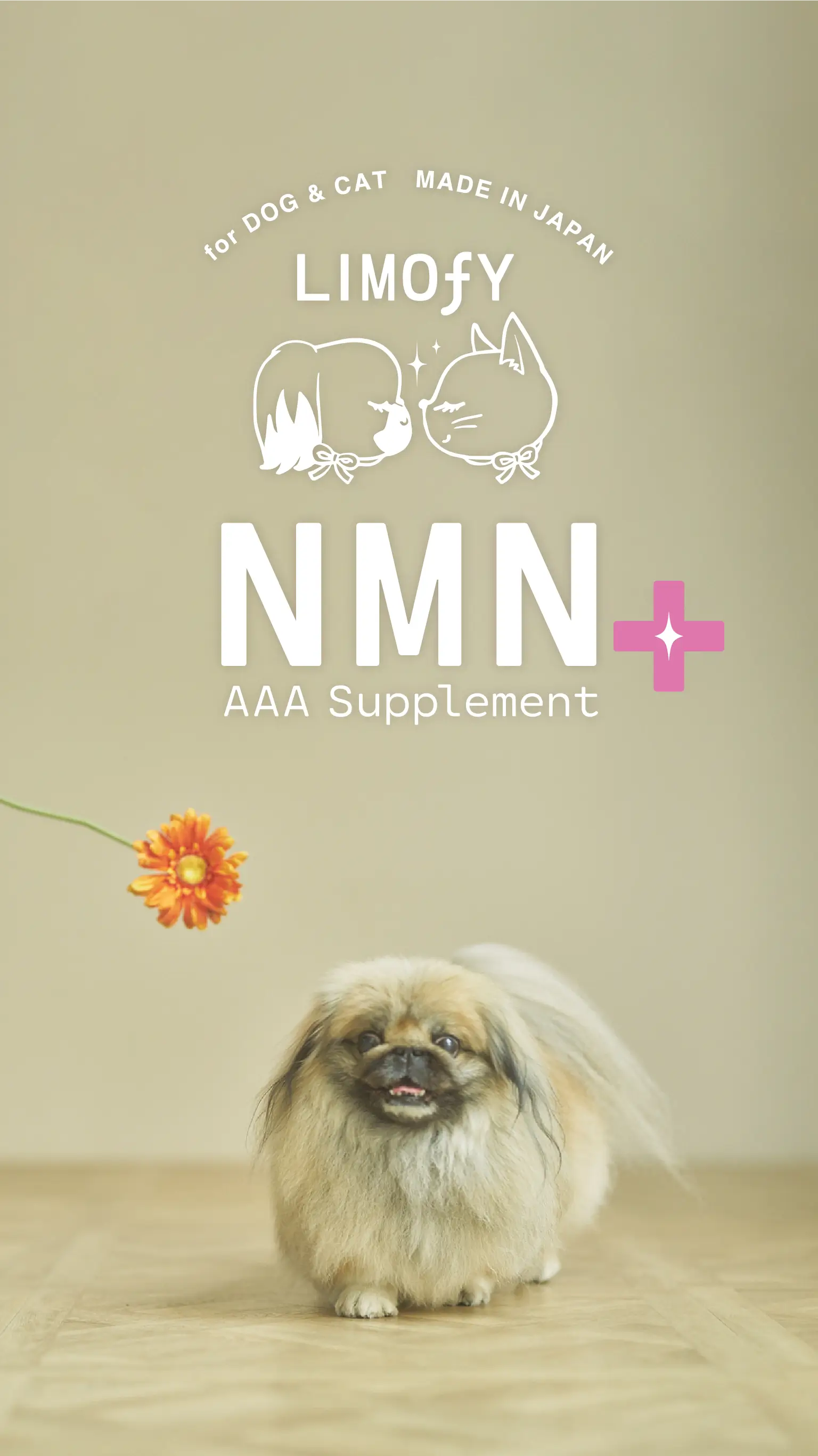 LIMOFY NMN+ ペット用(犬用・猫用) NMN 乳酸菌 アンチエイジング サプリメント